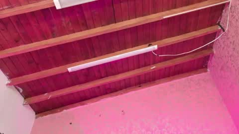 Snapshot of sofia_martinn chatting on November 14, 3:05 am Sofia online show from November 14, 3:05 am