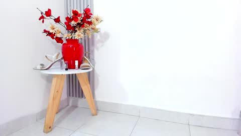 SOFIA online show from February 4, 11:27 pm