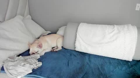 sofia_rivers_ online show from March 1, 12:23 pm