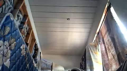 sohan730903 online show from October 1, 7:20 pm