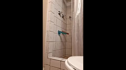 Snapshot of sologirl81 chatting on February 6, 5:38 pm sologirl81 online show from February 6, 5:38 pm