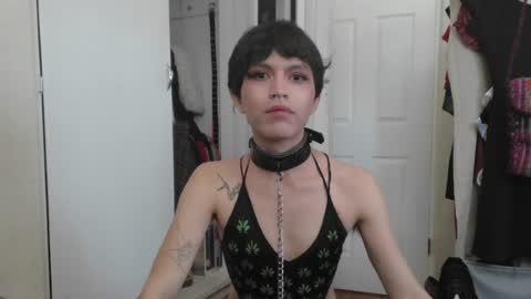 soophiebby online show from June 7, 2:21 pm