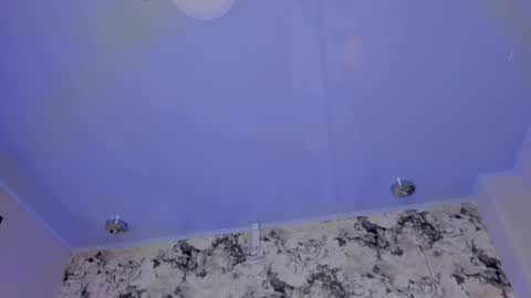 Snapshot of sophidavis chatting on December 12, 8:36 am Sophi online show from December 12, 8:36 am