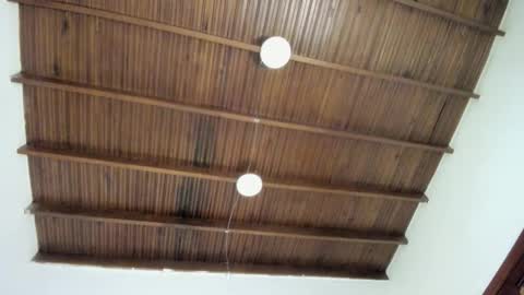 sophie_smith19 online show from December 22, 1:19 pm