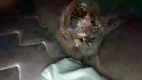 Snapshot of source1012 chatting on January 11, 5:31 am source1012 online show from January 11, 5:31 am