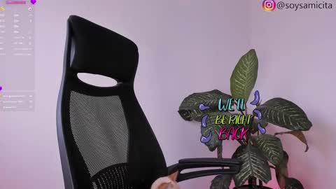 Sami Diaz   online show from December 21, 11:55 am