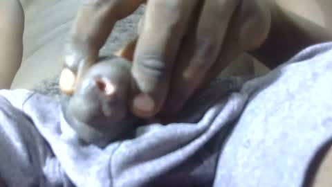 ask in pvt online show from February 9, 10:20 am