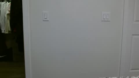 specialiest online show from January 12, 6:13 pm