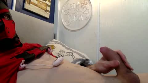 Spidey Pup online show from December 26, 10:09 pm