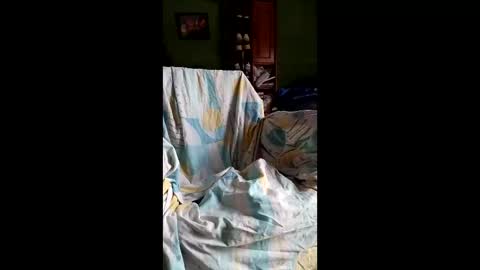 spieguelman online show from April 17, 11:24 am