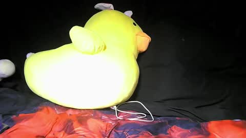 Daddy  His Splash Queen online show from December 5, 4:43 am