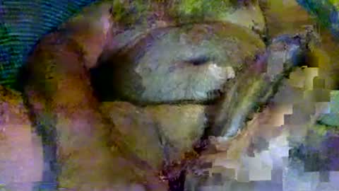 splinter8484 online show from August 7, 6:48 am