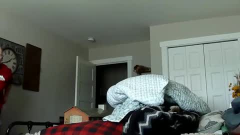 sportfish online show from February 21, 10:33 pm