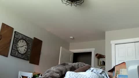 sportfish online show from April 4, 6:38 pm