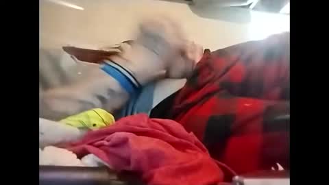 Snapshot of spundaddyandprincess chatting on December 8, 2:30 pm spundaddyandprincess online show from December 8, 2:30 pm