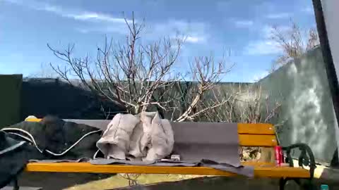 My name is Maya Lush is activeThere are legends that in this room all your wishes can come true  Private is Open online show from March 7, 10:02 am