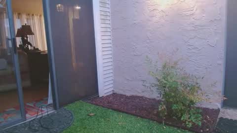 srtxshow online show from April 4, 12:02 pm