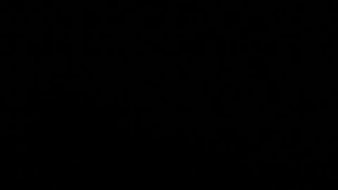 Stacy  online show from November 8, 11:21 am