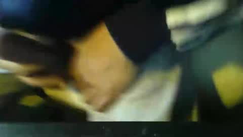 CIPPALIPPA online show from November 2, 12:40 pm