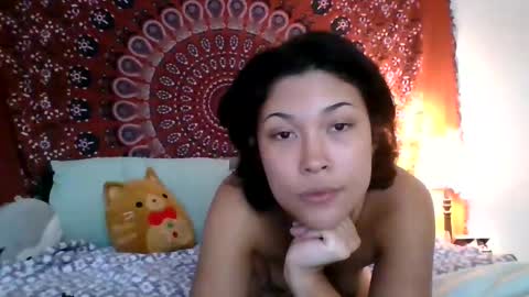 adriana torres online show from December 6, 9:46 pm