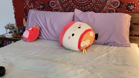 adriana torres online show from February 22, 10:20 pm