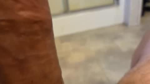 Snapshot of stareyes0249 chatting on September 11, 10:32 pm stareyes0249 online show from September 11, 10:32 pm