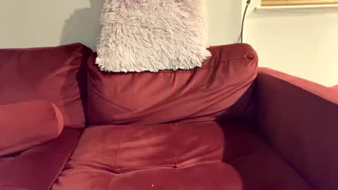stayshard69696969 online show from May 2, 12:37 am