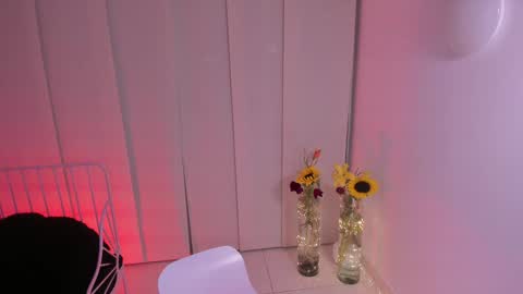 Snapshot of steffy_dan chatting on February 5, 3:34 am Steffy online show from February 5, 3:34 am