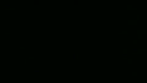 steflab online show from February 24, 10:57 am