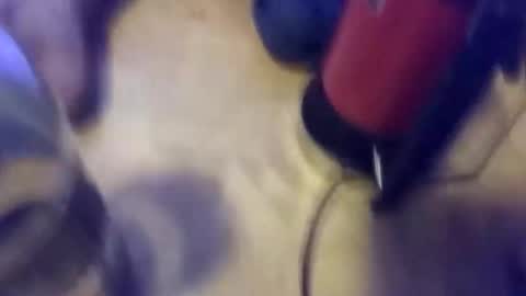 anube krato online show from October 19, 1:28 am