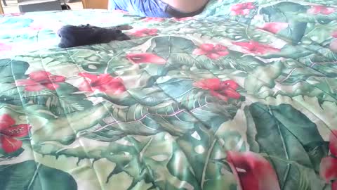 Rocco-load online show from October 16, 1:56 pm