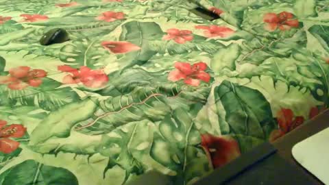 Snapshot of stel7621 chatting on December 18, 6:58 pm Rocco-load online show from December 18, 6:58 pm