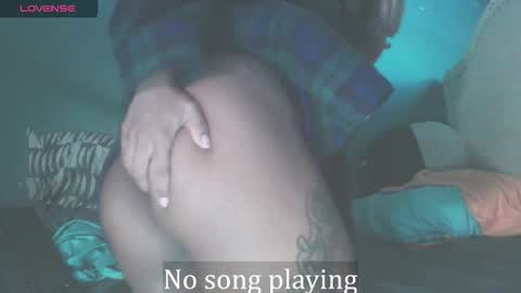 Stella Clitella online show from October 17, 11:24 am