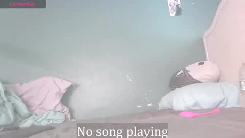 Stella Clitella online show from November 21, 1:32 pm