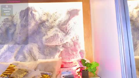 S T E L L A online show from April 22, 5:58 pm