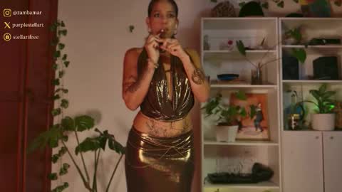 Snapshot of stellart_ chatting on November 28, 2:14 am stellart_ online show from November 28, 2:14 am