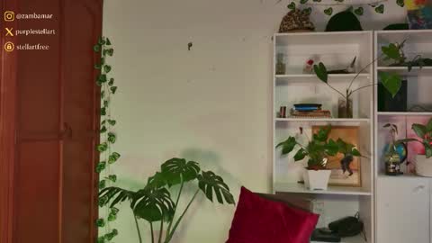 Snapshot of stellart_ chatting on November 30, 10:14 pm stellart_ online show from November 30, 10:14 pm