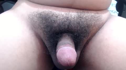 Stellaven online show from January 24, 10:11 am