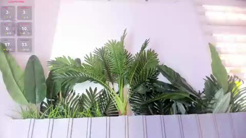 Snapshot of stephany__monroe chatting on July 28, 7:39 pm Stephany online show from July 28, 7:39 pm
