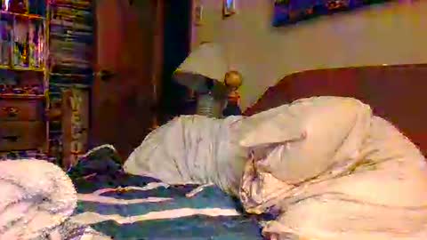 Snapshot of sterben13v chatting on December 19, 12:01 pm Ian23602 online show from December 19, 12:01 pm