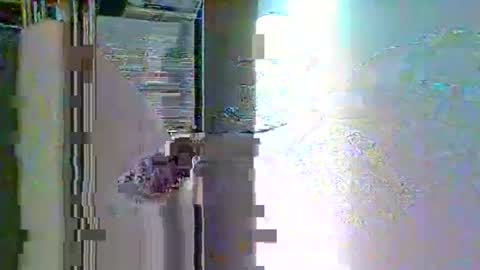 Snapshot of sterben13v chatting on January 6, 1:37 pm Ian23602 online show from January 6, 1:37 pm