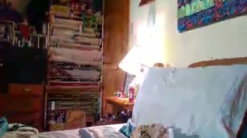 Ian23602 online show from May 23, 1:15 pm