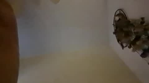 sterng123 online show from December 10, 9:01 am