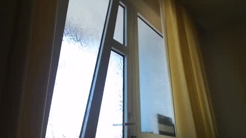 Steven online show from March 5, 1:06 pm