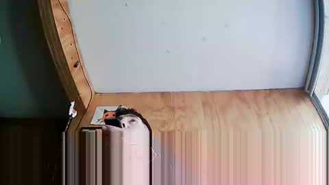 Steve online show from October 4, 7:23 pm