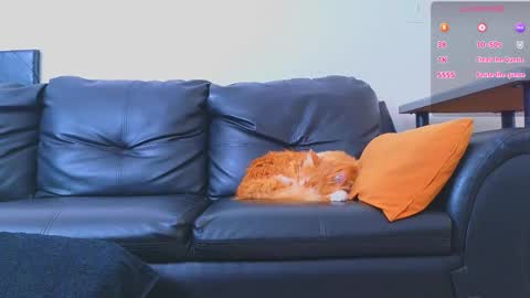 Snapshot of stiven_montiel chatting on January 9, 1:47 pm Stiven Montiel online show from January 9, 1:47 pm