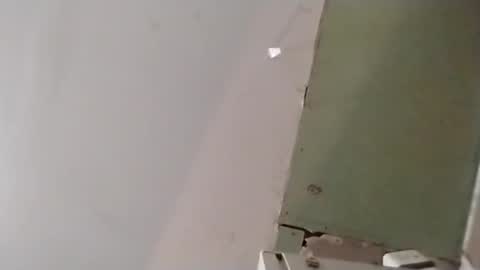 Oval2022 online show from April 14, 12:22 pm