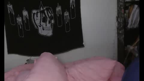 Snapshot of stoned2dabones666 chatting on December 5, 9:06 am Haily online show from December 5, 9:06 am