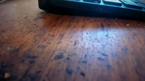 Stoner Dad online show from April 28, 6:46 pm