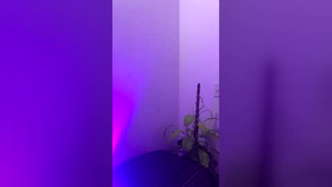 Snapshot of straight_boys_hornys chatting on December 20, 11:50 am straight_boys_hornys online show from December 20, 11:50 am